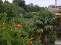 foto-1-033